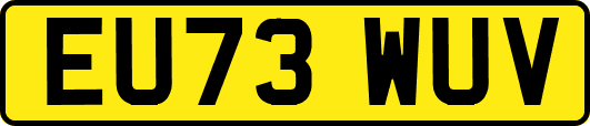 EU73WUV
