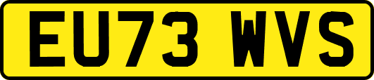 EU73WVS