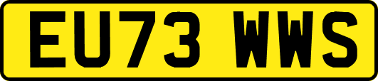 EU73WWS