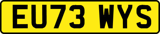 EU73WYS
