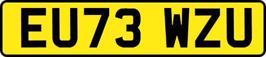 EU73WZU