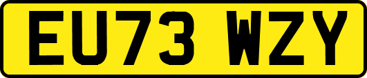 EU73WZY