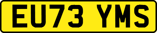EU73YMS