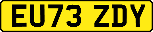 EU73ZDY