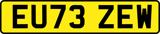 EU73ZEW