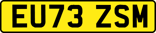 EU73ZSM