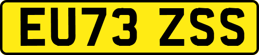 EU73ZSS