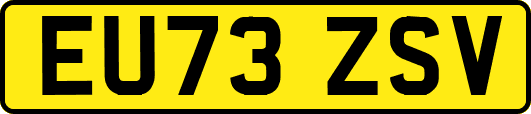 EU73ZSV