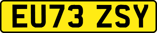 EU73ZSY