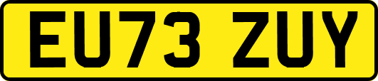 EU73ZUY