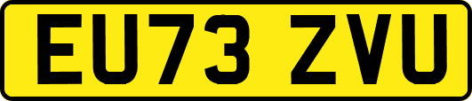 EU73ZVU