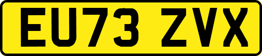 EU73ZVX