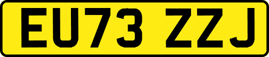 EU73ZZJ