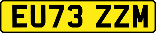 EU73ZZM