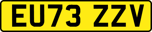 EU73ZZV