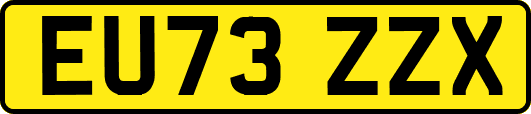 EU73ZZX