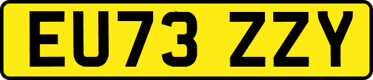 EU73ZZY