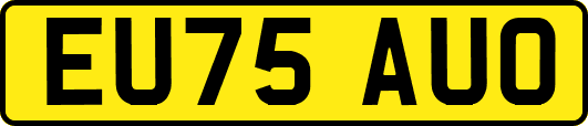 EU75AUO