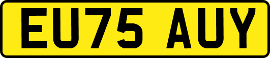 EU75AUY