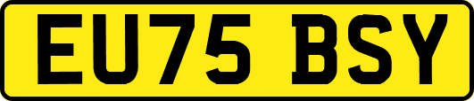 EU75BSY