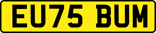 EU75BUM