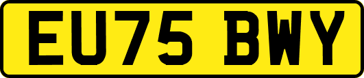 EU75BWY