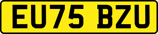 EU75BZU