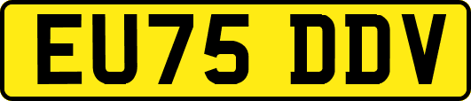 EU75DDV