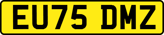 EU75DMZ