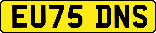 EU75DNS
