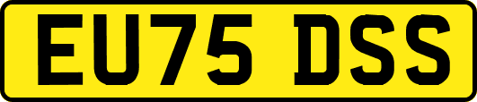 EU75DSS