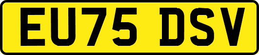 EU75DSV