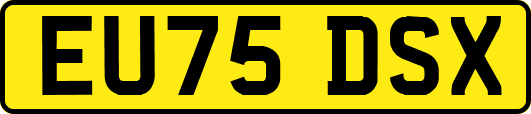 EU75DSX