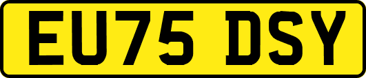 EU75DSY