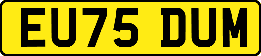 EU75DUM