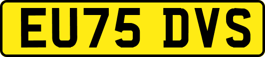 EU75DVS