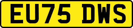 EU75DWS