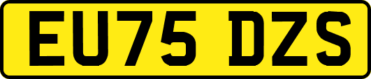 EU75DZS