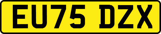 EU75DZX