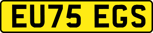 EU75EGS