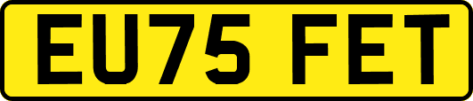 EU75FET