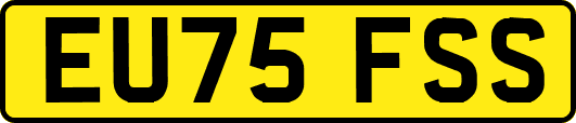 EU75FSS