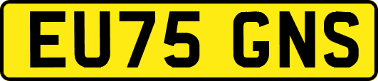 EU75GNS