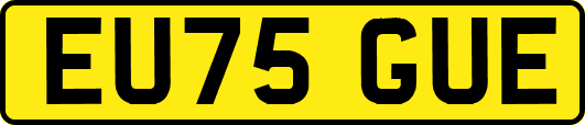 EU75GUE