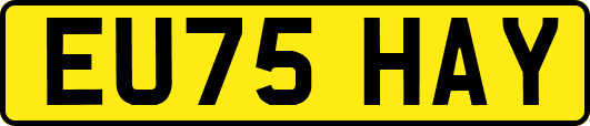 EU75HAY