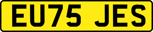 EU75JES