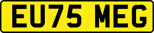 EU75MEG