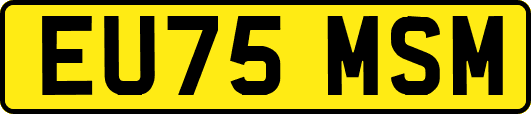 EU75MSM