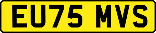 EU75MVS