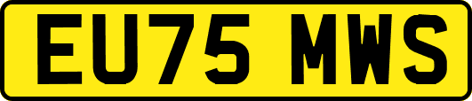 EU75MWS